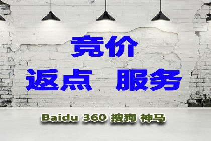 百度竞价排名策略解析：一家公司的广告投放策略全揭秘